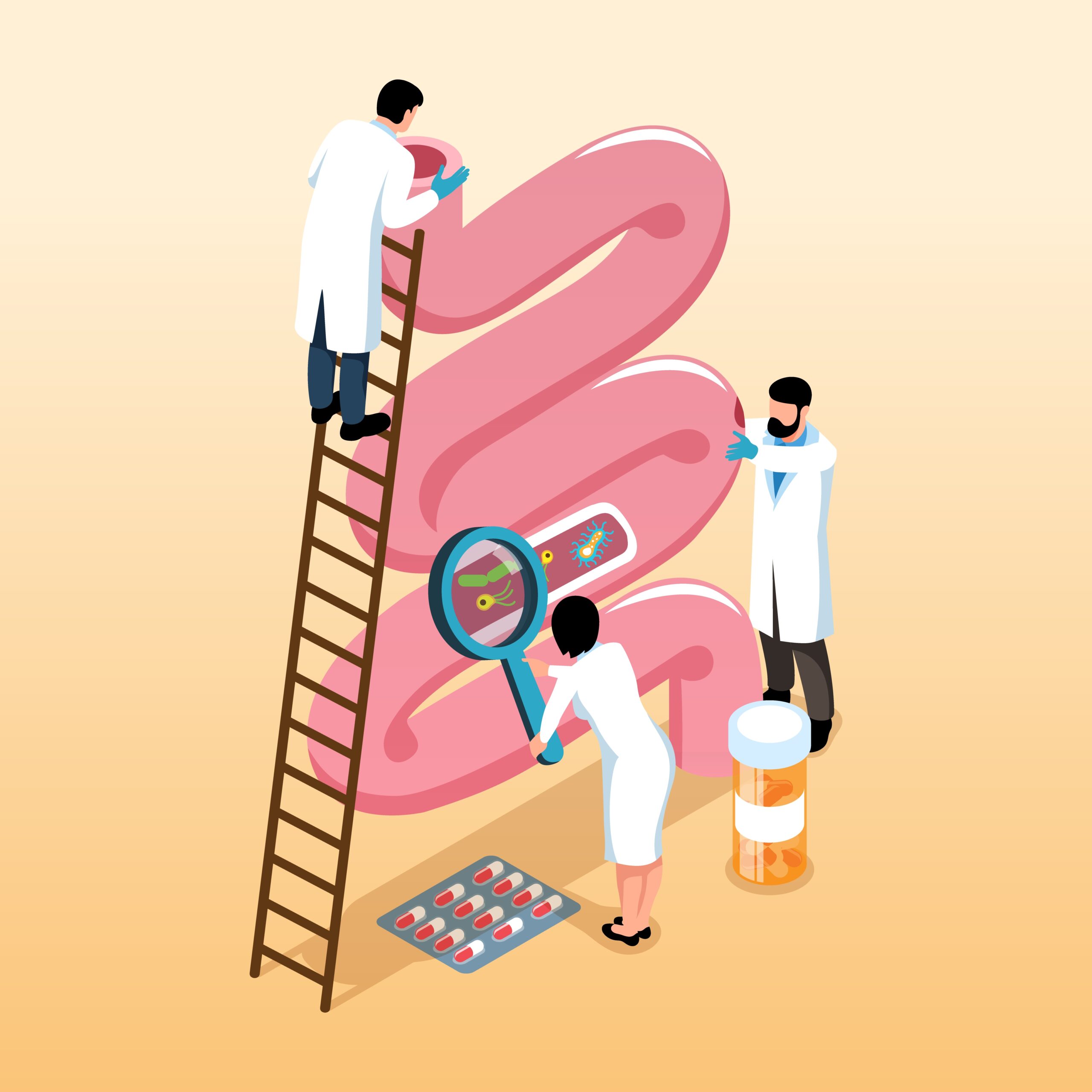 gastroenterologists isometric concept